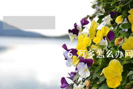 网贷欠了6万多怎么办(网贷欠六千多)