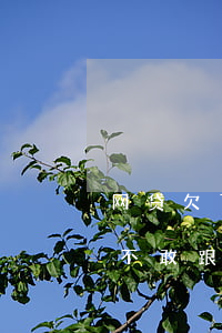 网贷欠了一万不敢让家里人知道(欠1万网贷不敢跟家人说)