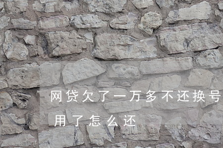 网贷欠了一万多不还换号(网贷原来的号码不用了怎么还)