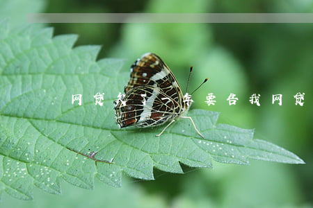 网贷欠了一年要告我(网贷欠了一年逾期)