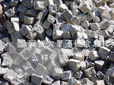 网贷欠了不还会怎样(如果欠了网贷不还会怎么样)