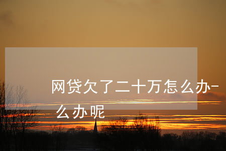 网贷欠了二十万怎么办-网贷欠了二十万怎么办呢