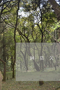 网贷欠了五万(网贷欠了五万多怎么强制上岸)