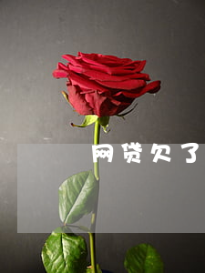 网贷欠了六七十个(欠了6千网贷)
