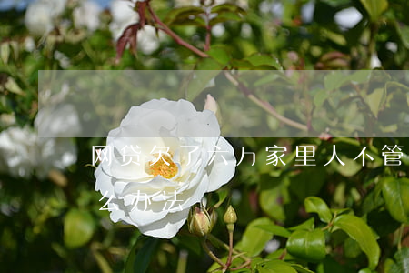 网贷欠了六万家里人不管(欠六万多网贷有什么办法)