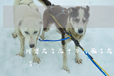 网贷欠了几十万人死了(欠了网贷十几万想死了)