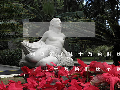 网贷欠了几十万暂时还不起怎么办-网贷欠了几十万暂时还不起怎么办呢