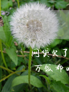 网贷欠了几十万饭都吃不起了(网贷欠了几十万饭都吃不起了)
