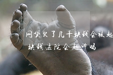 网贷欠了几千块钱会被起诉吗(网贷欠了几百块钱法院会起诉吗)
