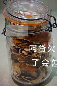 网贷欠了几年没有还会怎样(网贷好几年没还了会怎么样)