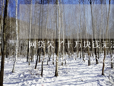 网贷欠了十万块钱无法还怎么办-网贷欠了十万块钱无法还怎么办呢