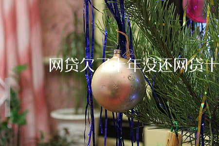网贷欠了十年没还(网贷十年没还的有吗)