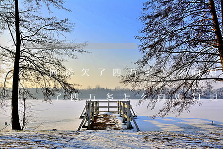 网贷欠了四万多怎么向媳妇坦白了-网贷欠了四万多怎么向媳妇坦白了呢