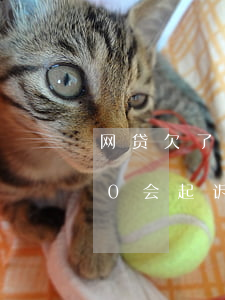 网贷欠了四千货款会被起诉么(网贷欠4000会起诉吗)