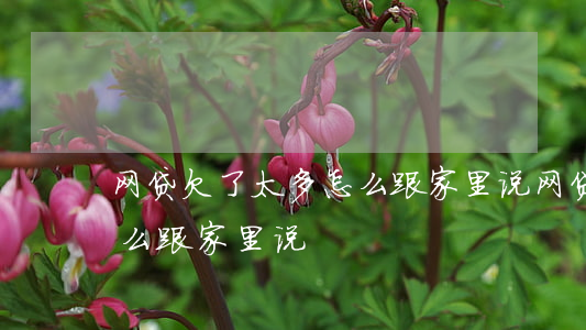 网贷欠了太多怎么跟家里说(网贷欠了太多怎么跟家里说)