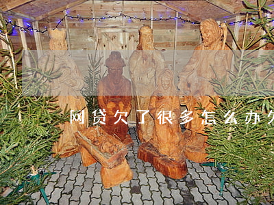 网贷欠了很多怎么办(欠网贷太多怎么解决)