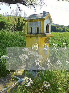 网贷欠了很多钱怎么跟家人开口(欠了3万网贷,怎么给家里人说)