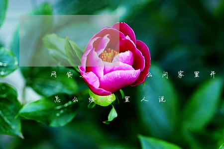 网贷欠了钱怎么问家里开口帮忙(网贷还不上怎么给家里人说)