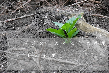 网贷欠五万不还什么后果(网贷5万不还会有什么后果)