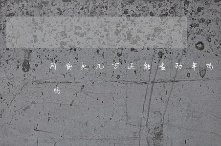 网贷欠几万还能坐动车吗(欠网贷可以坐高铁吗)