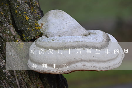 网贷欠几十万有坐牢的风险吗(欠网贷几十万会判刑吗)