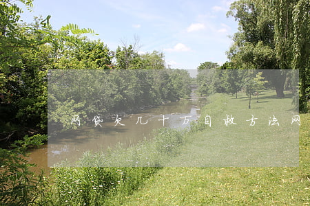网贷欠几十万自救方法(网贷欠十几万怎么办)