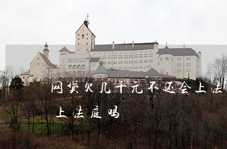 网贷欠几千元不还会上法庭吗(网贷一千多会上法庭吗?)