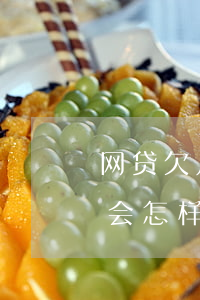 网贷欠几千元不还怎么办(网贷欠一千多不还会怎样)