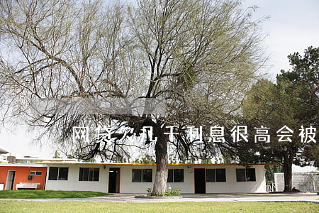 网贷欠几千利息很高会被起诉吗-