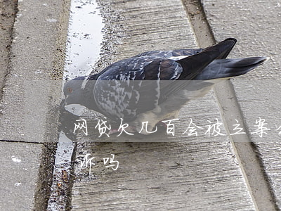网贷欠几百会被立案么(网贷欠几百块会被起诉吗)