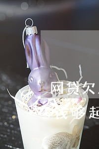 网贷欠几百块钱不还怎么起诉(网贷不还多少钱够起诉)