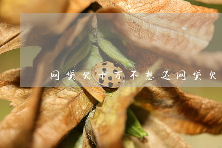 网贷欠十万不想还(网贷欠十万还不上怎么办)