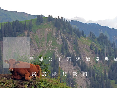 网贷欠十万还能贷房贷吗(欠了10多万网贷买房能贷款吗)