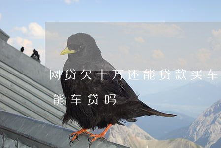 网贷欠十万还能贷款买车吗(网贷欠10万还能车贷吗)