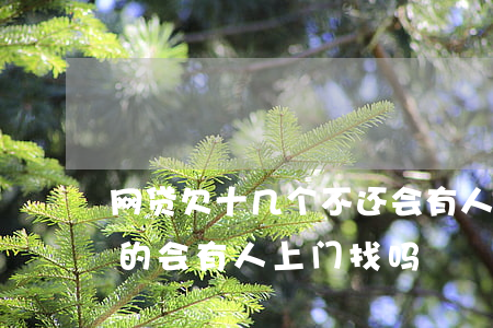 网贷欠十几个不还会有人上门吗(网贷不还真的会有人上门找吗)