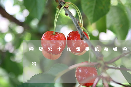 网贷欠十几家手机关机(网贷关机就可以解决吗)