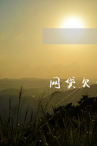 网贷欠十四万跑路了(欠网贷14万)