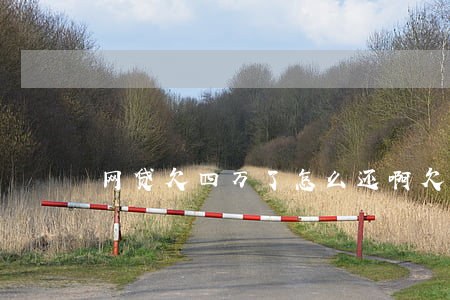 网贷欠四万了怎么还啊(欠4万多网贷怎么办)