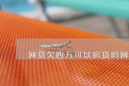 网贷欠四万可以房贷吗(网贷欠了四万多)