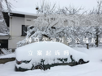 网贷欠四万多会被起诉吗(网贷欠款四千多会立案起诉吗)