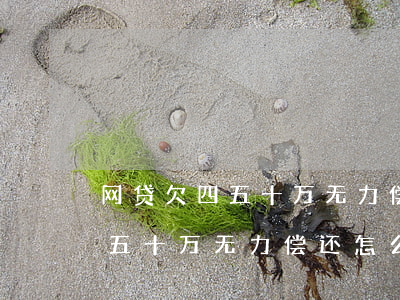 网贷欠四五十万无力偿还怎么办-网贷欠四五十万无力偿还怎么办呢