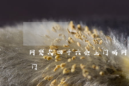网贷欠四千六会上门吗(网贷欠六千块钱说上门)