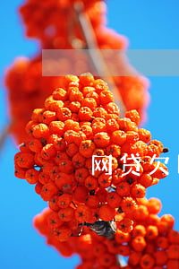 网贷欠四年没还怎么办(欠网贷4年没还)