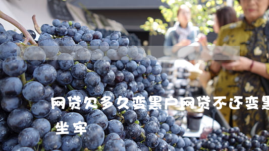 网贷欠多久变黑户(网贷不还变黑户会不会被坐牢)