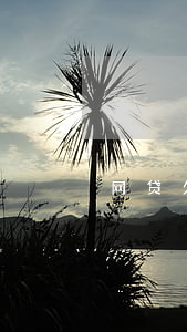 网贷欠多久算作废(网贷欠了好几年)