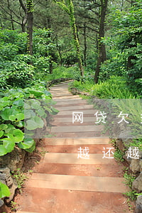 网贷欠多了怎么还不还有什么后果(欠了网贷越还越多怎么办)