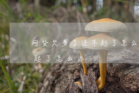 网贷欠多了还不起了怎么办(网贷欠多了还不起了怎么办)