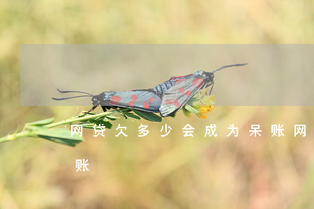 网贷欠多少会成为呆账(网贷欠多少会成为呆账)