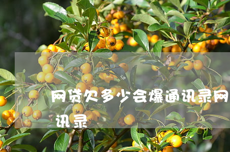 网贷欠多少会爆通讯录(网贷欠款多久会爆通讯录)