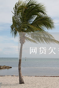 网贷欠多少才起诉(欠网贷多少钱才会被起诉)